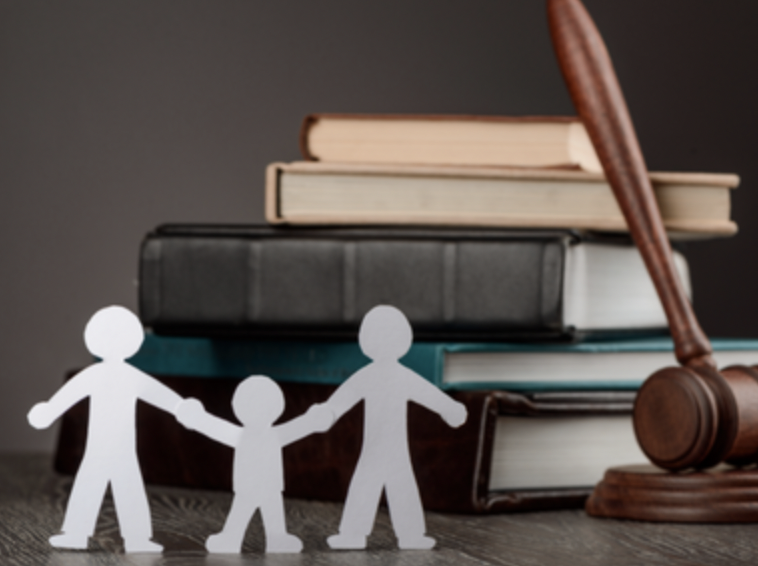Family court process
